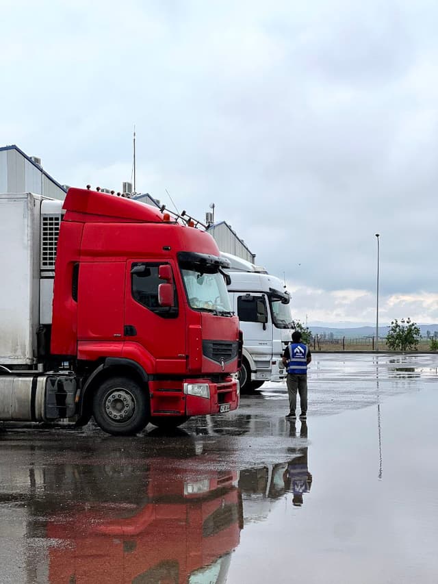 Pro Logistics - Global Cargo & Customs Solutions