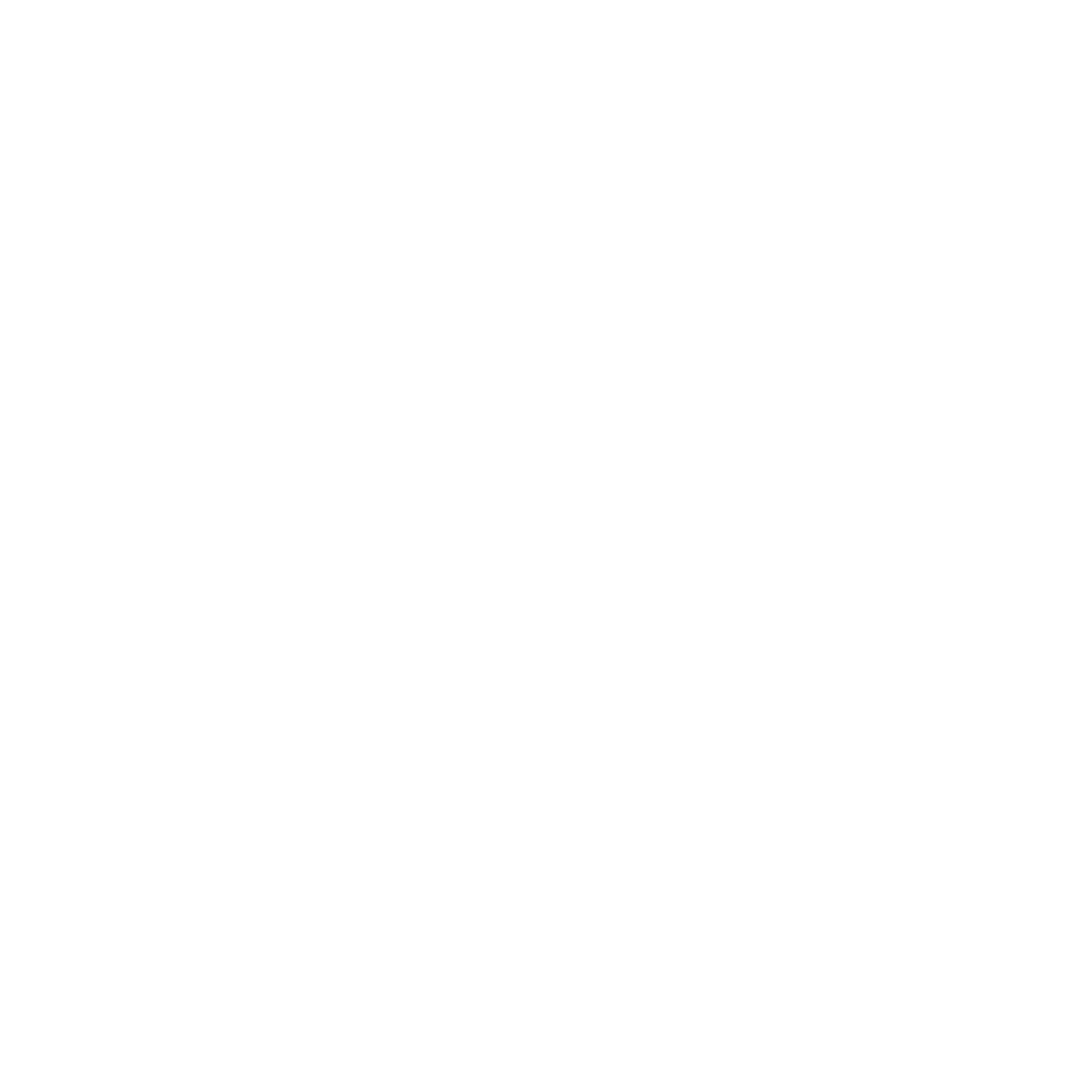 Proline Energy Solution Logo